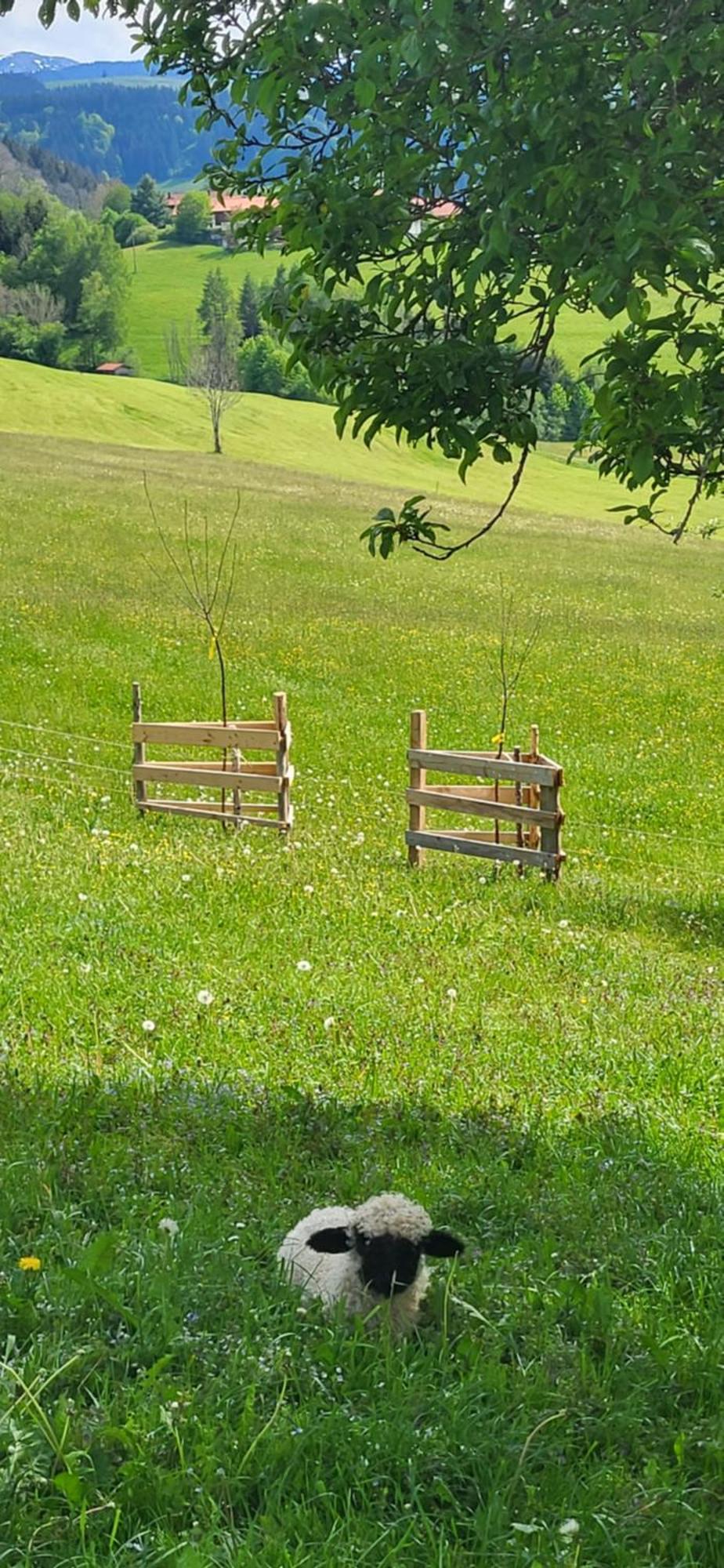 Rindalphorn Mit Sauna In Laendlicher Idylle