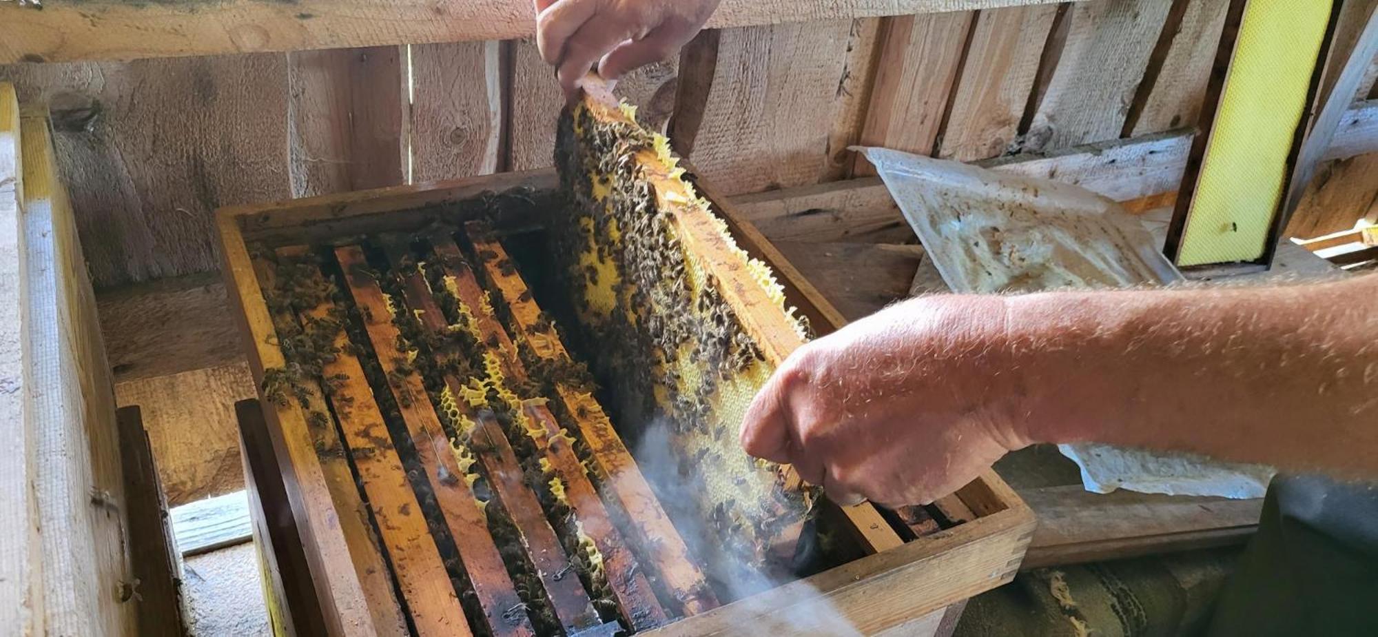 Rindalphorn Mit Sauna In Laendlicher Idylle Missen-Wilhams