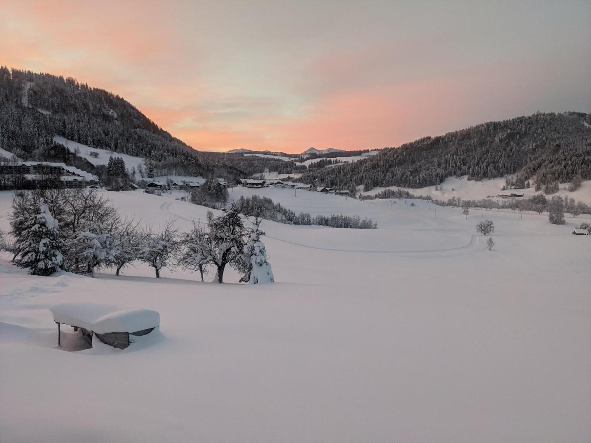 Rindalphorn Mit Sauna In Laendlicher Idylle * Missen-Wilhams